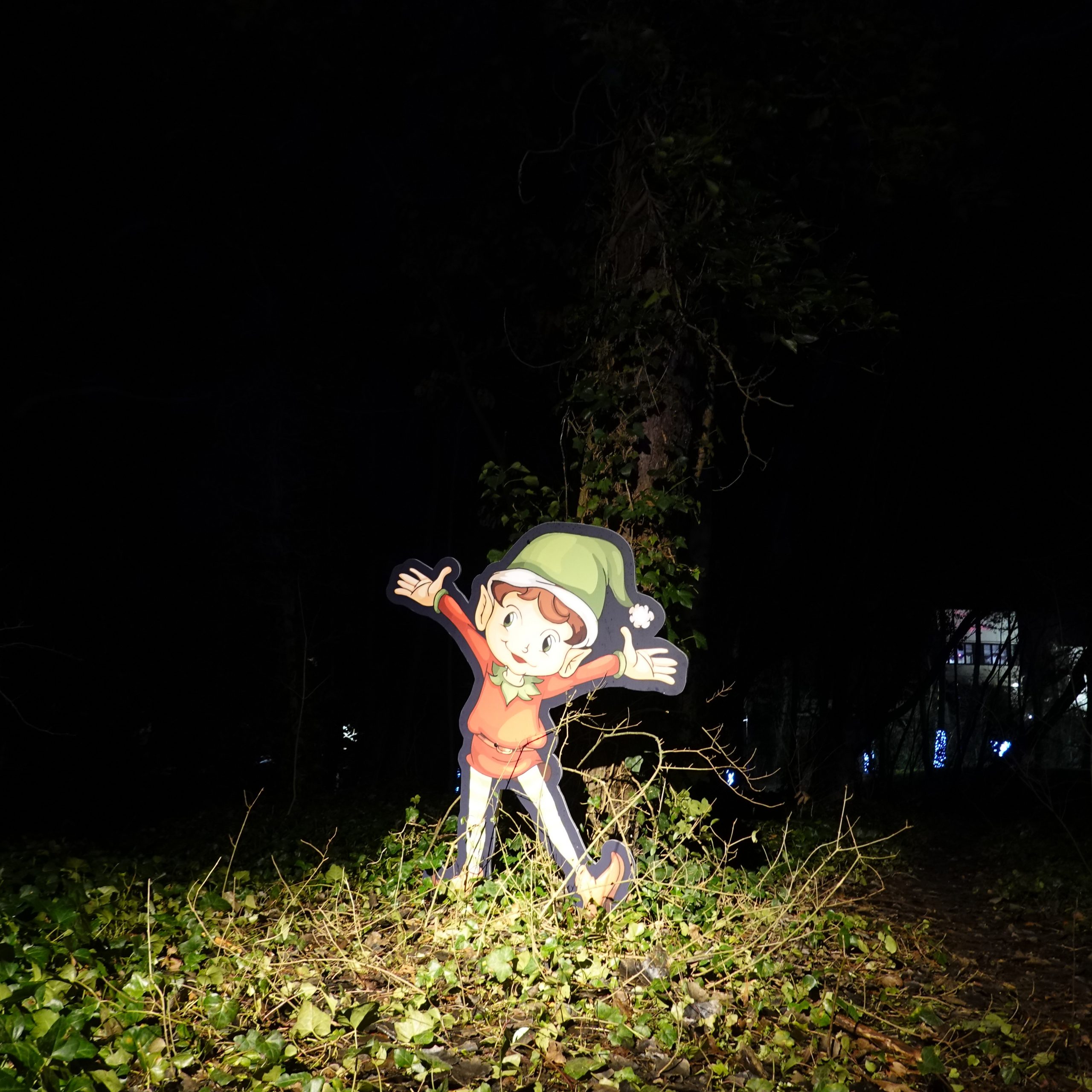 lutin lutin